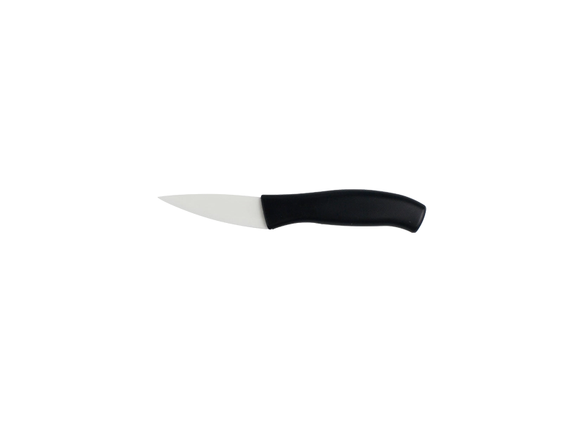 Paring knife